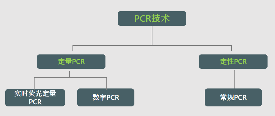 PP电子| 满冒险有趣的老虎机主题游戏