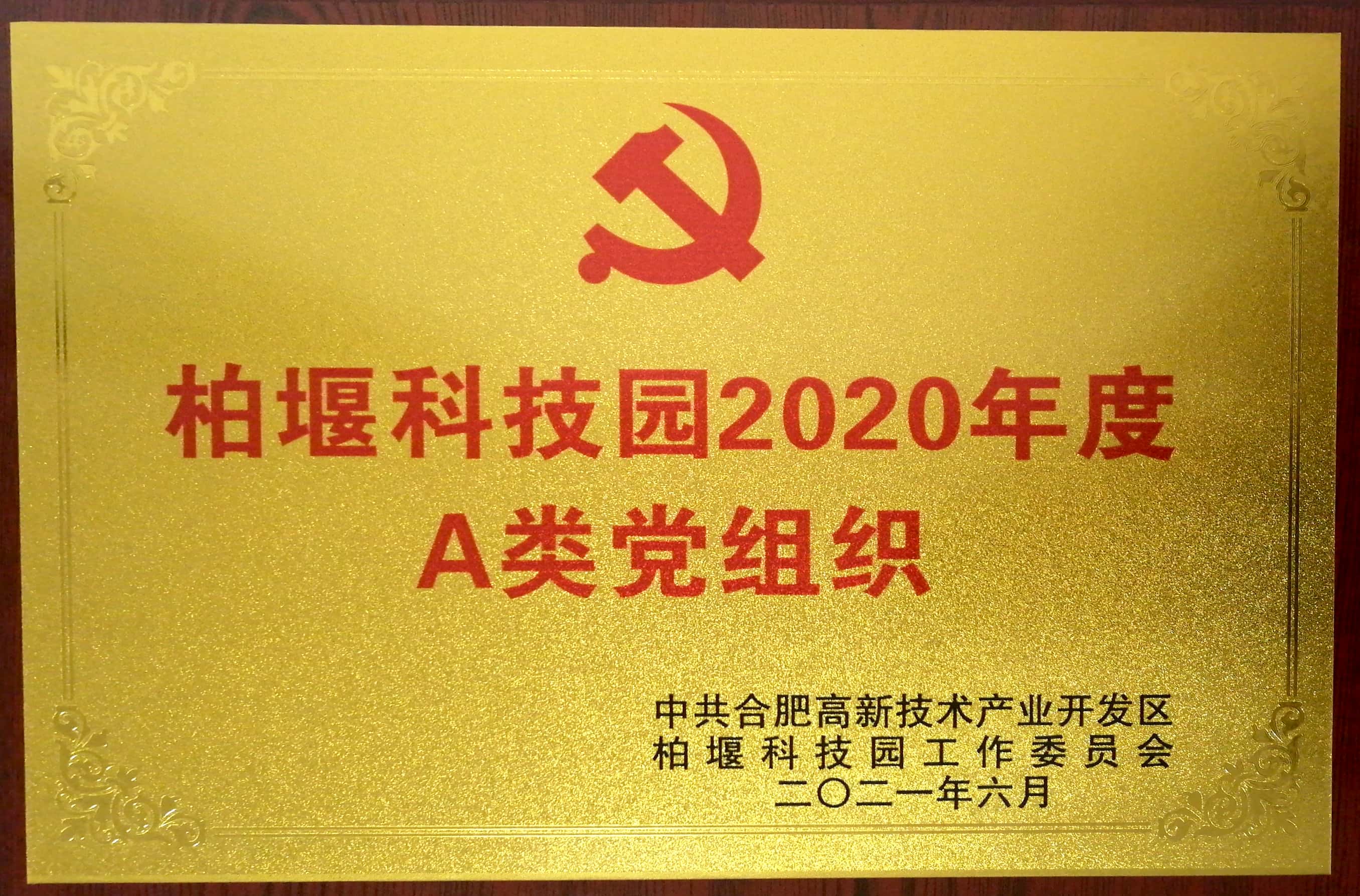 PP电子党支部被评为“柏堰科技园2020年度A类党组织”